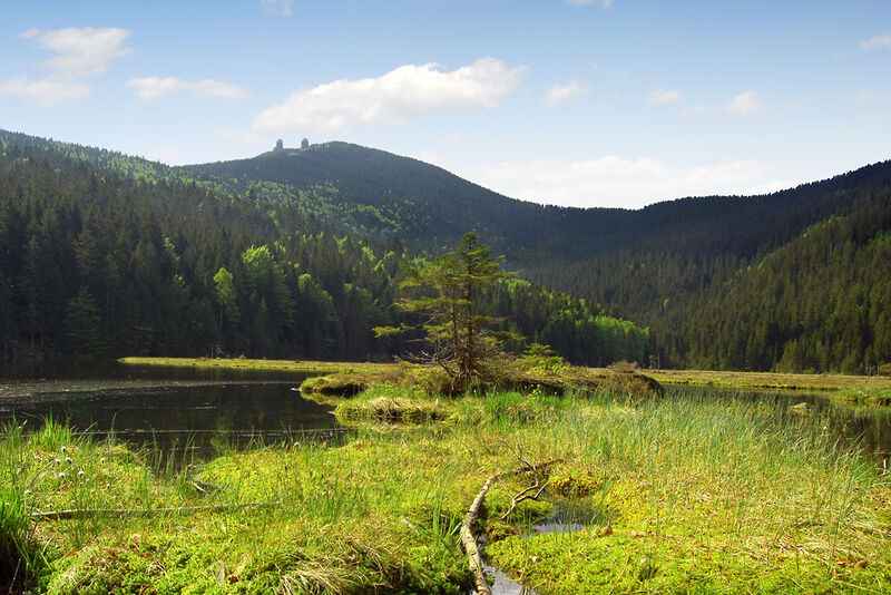 Arber im Bayerischen Wald